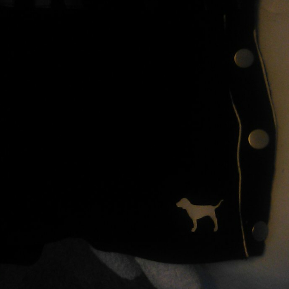 Shorts - Picture 2 of 3